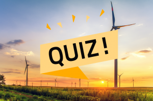Renewable energy quiz